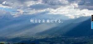ネクストエナジーの太陽光パネルの特徴は?