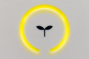 株式会社エルライングループの太陽光は無料？